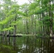 ERDC-EL researchers join USACE New Orleans District-led Maurepas Swamp Project