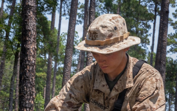 Fox Company Land Navigation