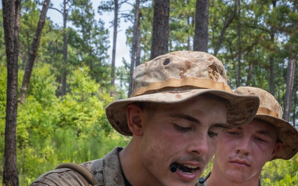 Fox Company Land Navigation
