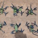 20th Fighter Wing, AFCENT Battle Lab Team Up for Counter-sUAS Exercise