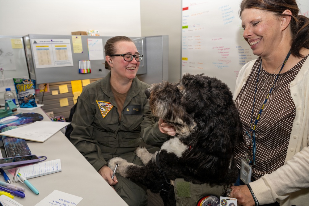 Four-Legged Wingmen Support Naval Aviation Training at NAS Corpus Christi