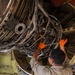 KC-135 Stratotanker Aircraft Maintenance