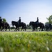 Full Military Funeral Honors with Escort are Conducted for U.S. Air Force Col. Robert Stirm in Section 57