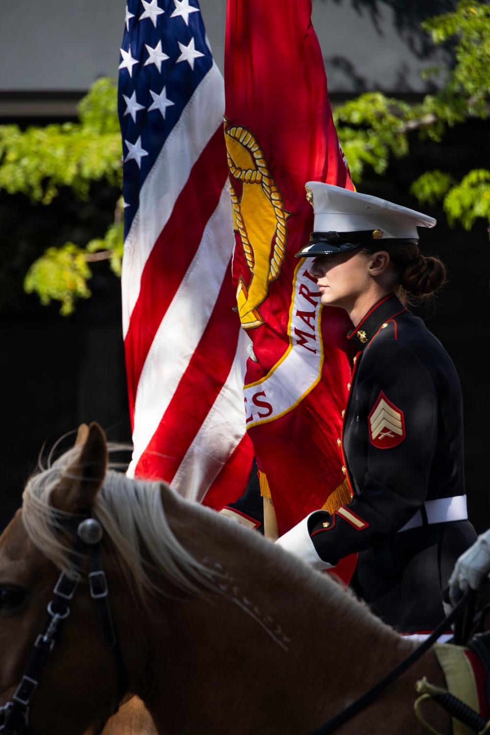 Marine Corps Mounted Color Guard participates in Cheyenne Frontier Days 2026