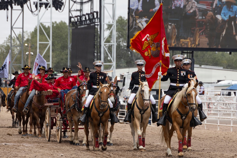 Marine Corps Mounted Color Guard participates in Cheyenne Frontier Days 2026