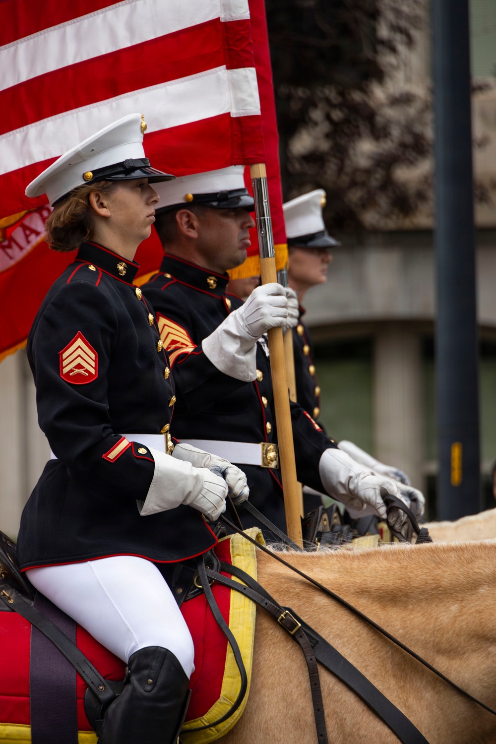 Marine Corps Mounted Color Guard participates in Cheyenne Frontier Days 2026