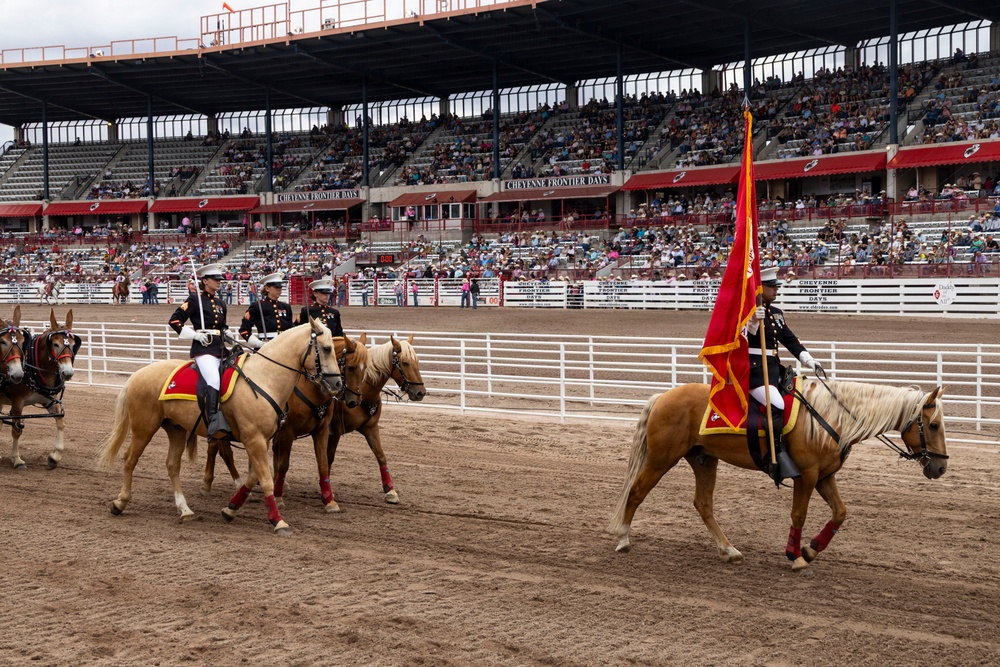 Marine Corps Mounted Color Guard participates in Cheyenne Frontier Days 2026