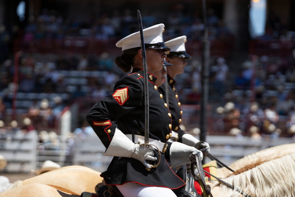 Marine Corps Mounted Color Guard participates in Cheyenne Frontier Days 2026