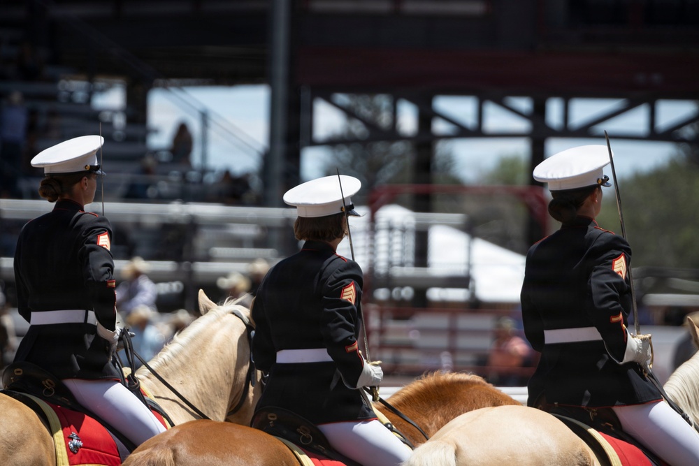 Marine Corps Mounted Color Guard participates in Cheyenne Frontier Days 2026