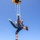 Golden Knights Tandem Team Hosts Community Leaders, Athletes for Jump Over Frederick, Maryland