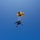 Golden Knights Tandem Team Hosts Community Leaders, Athletes for Jump Over Frederick, Maryland