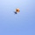 Golden Knights Tandem Team Hosts Community Leaders, Athletes for Jump Over Frederick, Maryland