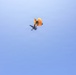 Golden Knights Tandem Team Hosts Community Leaders, Athletes for Jump Over Frederick, Maryland