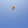 Golden Knights Tandem Team Hosts Community Leaders, Athletes for Jump Over Frederick, Maryland