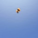 Golden Knights Tandem Team Hosts Community Leaders, Athletes for Jump Over Frederick, Maryland