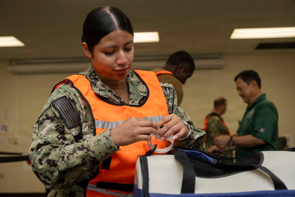 CFAO Conducts NEO Training Exercise