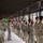 CATM instructors prepare Airmen for deployment through weapons training