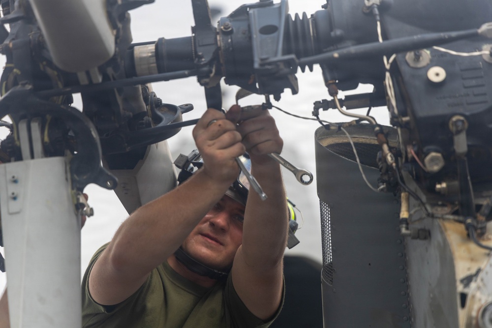 LCF-24: Keeping the Venoms in the Sky