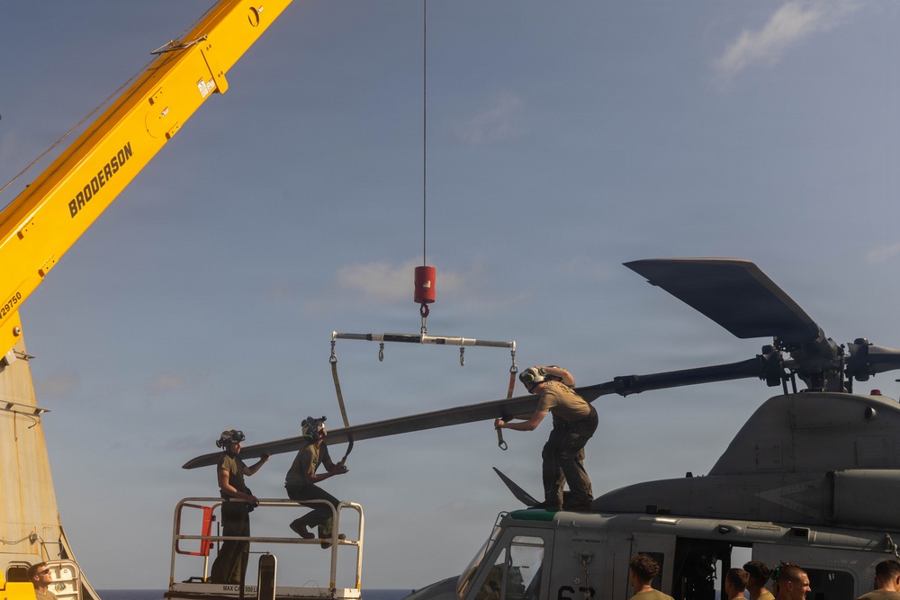 LCF-24: Keeping the Venoms in the Sky