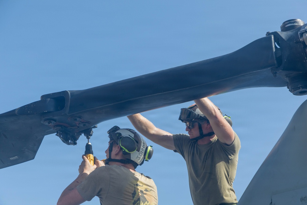 LCF-24: Keeping the Venoms in the Sky