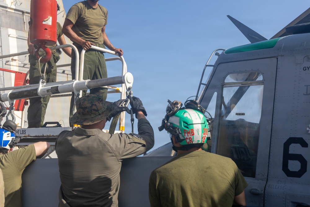 LCF-24: Keeping the Venoms in the Sky