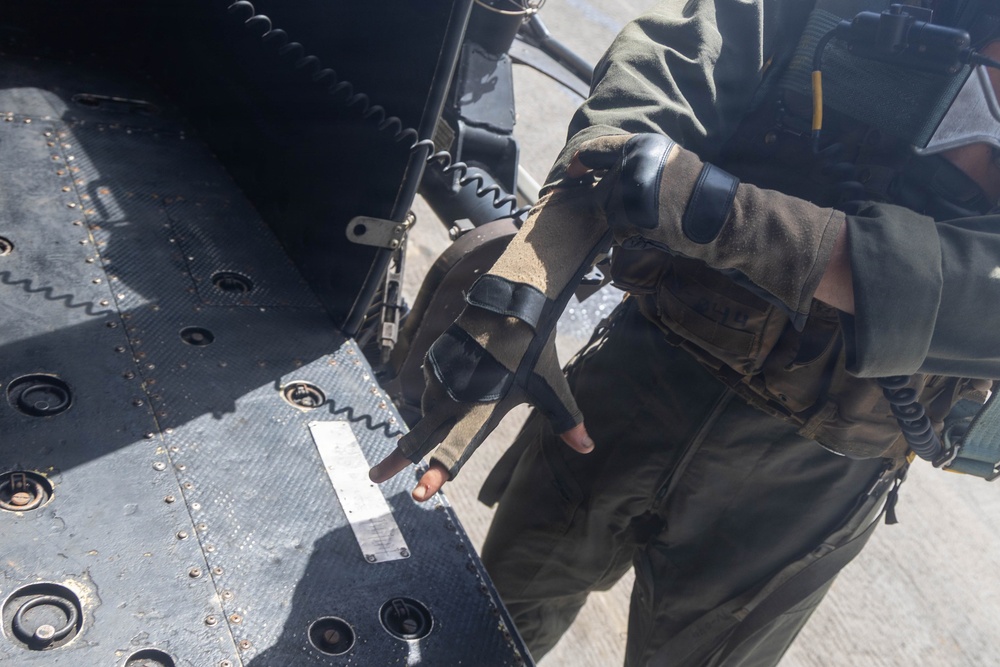 LCF-24: Touch and Go Exercises