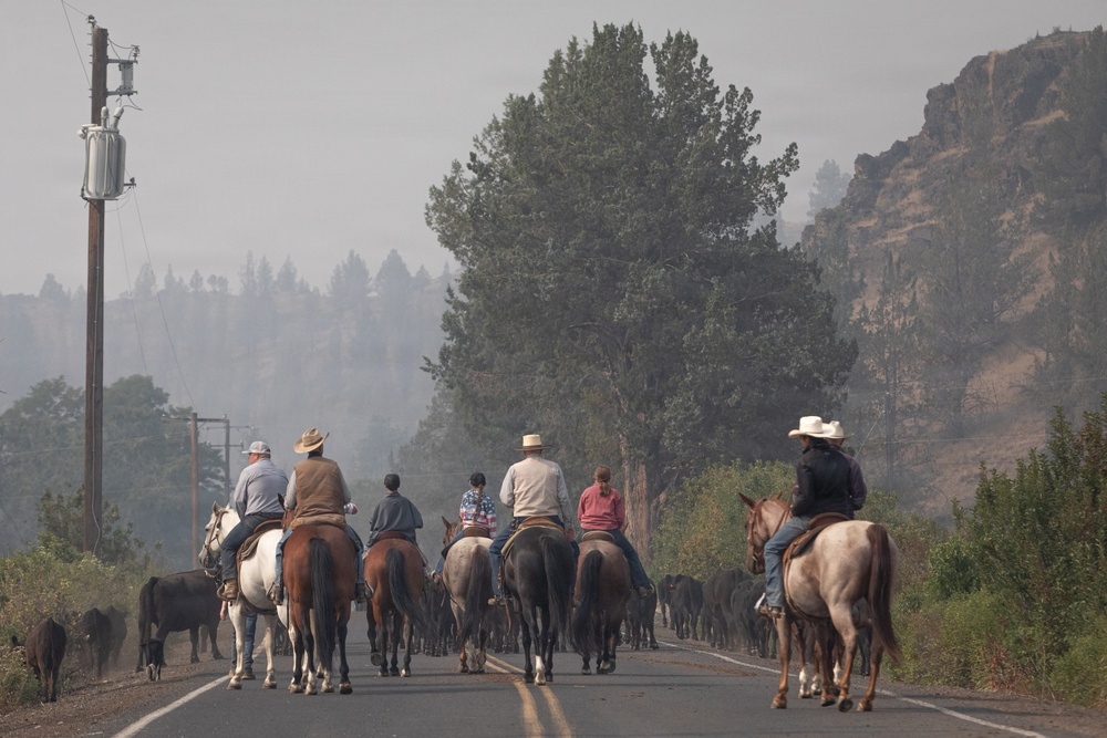 Rowe Creek Complex Cattle Drive