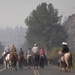Rowe Creek Complex Cattle Drive