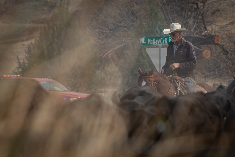 Rowe Creek Complex Cattle Drive