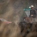 Rowe Creek Complex Cattle Drive