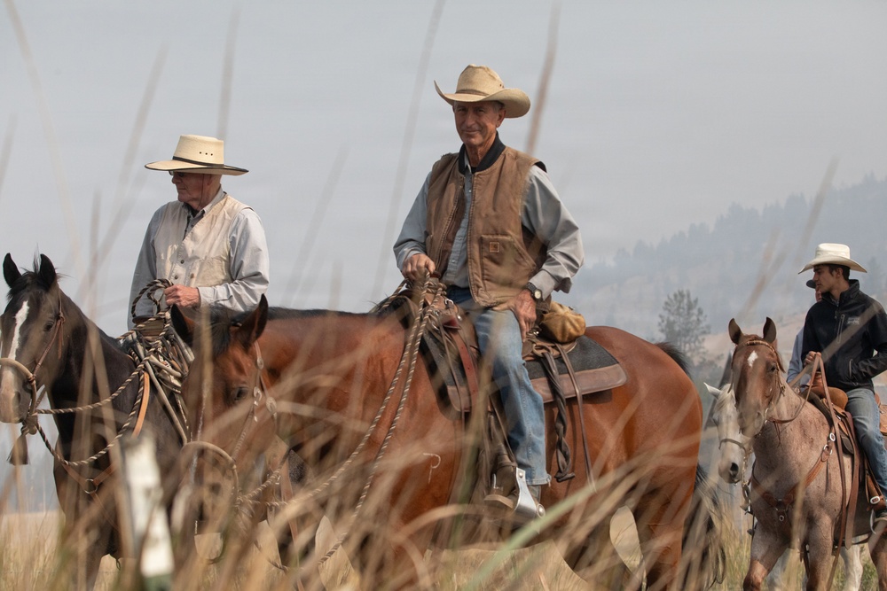 Rowe Creek Complex Cattle Drive