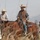 Rowe Creek Complex Cattle Drive Rowe Creek Complex Cattle Drive