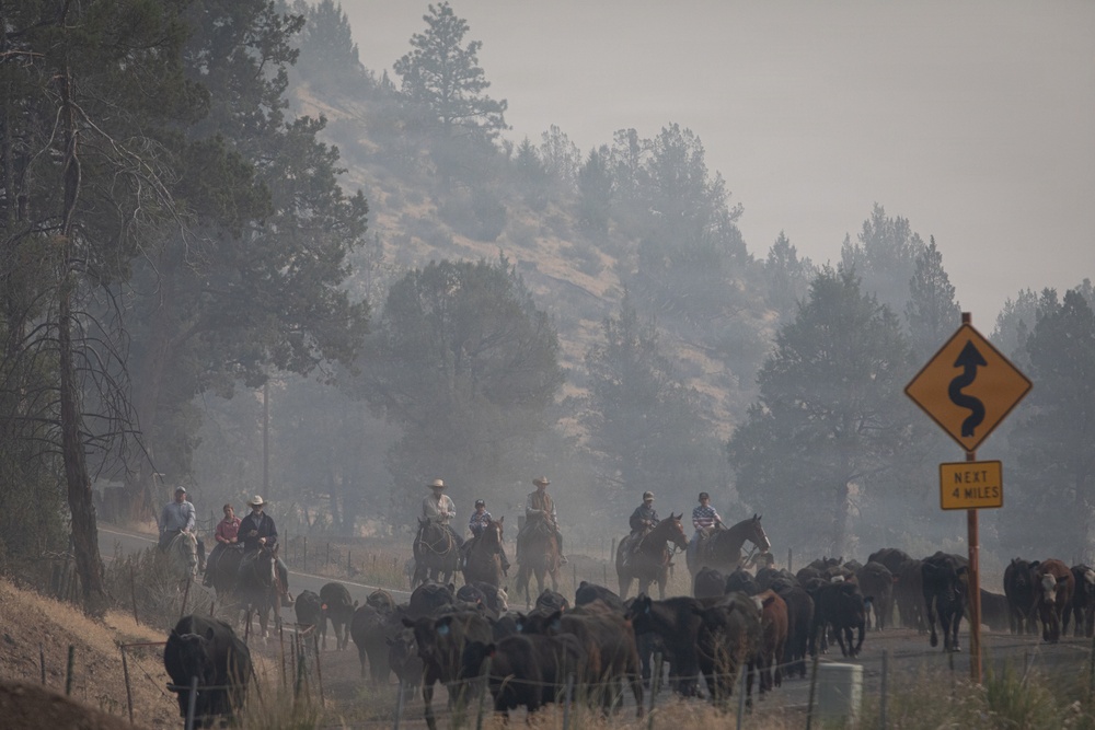 Rowe Creek Complex Cattle Drive