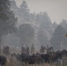 Rowe Creek Complex Cattle Drive