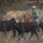 Rowe Creek Complex Cattle Drive Rowe Creek Complex Cattle Drive