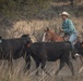 Rowe Creek Complex Cattle Drive