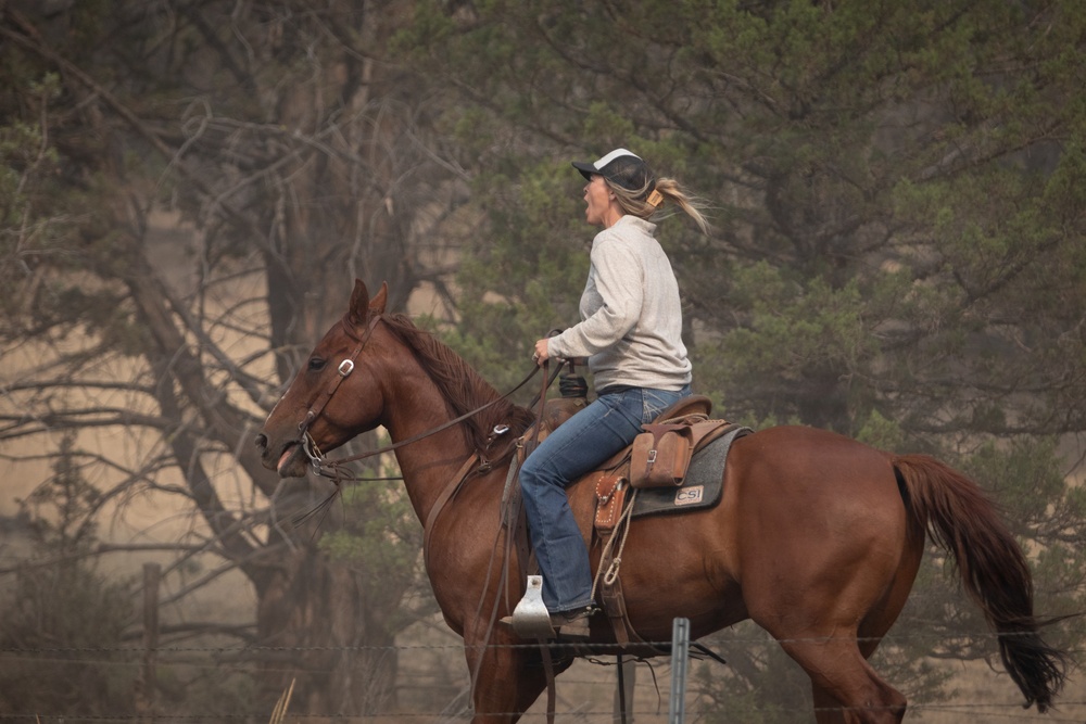 Rowe Creek Complex Cattle Drive