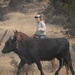 Rowe Creek Complex Cattle Drive