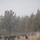 Rowe Creek Complex Cattle Drive Rowe Creek Complex Cattle Drive
