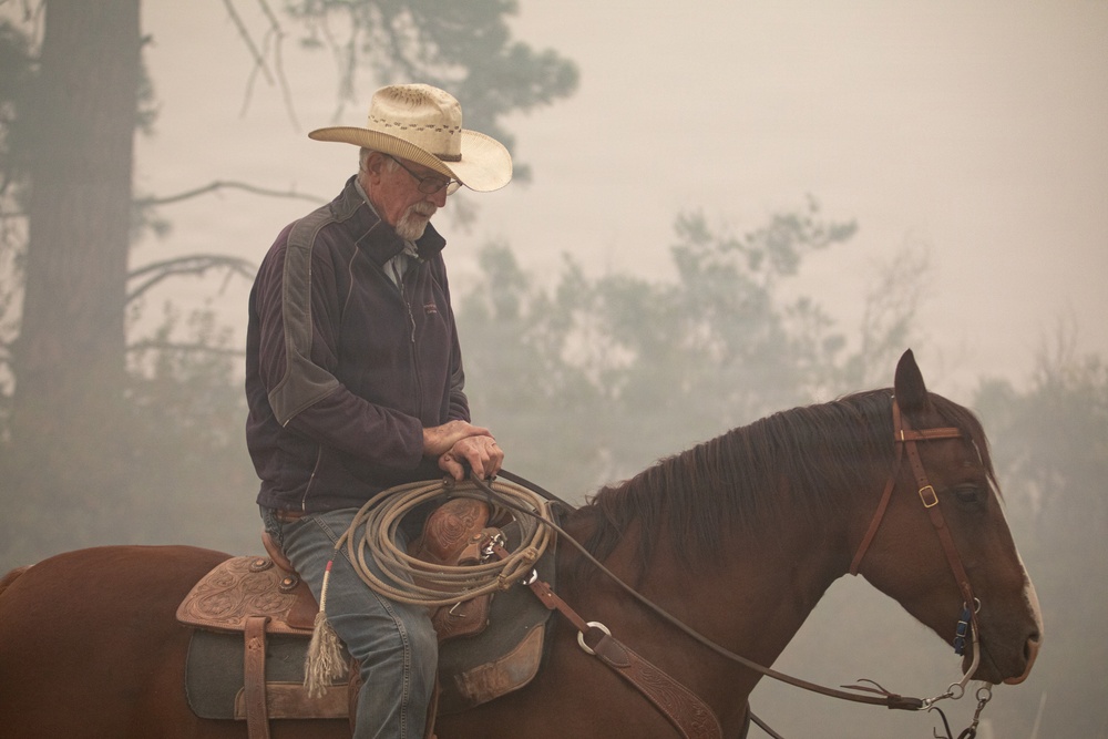 Rowe Creek Complex Cattle Drive
