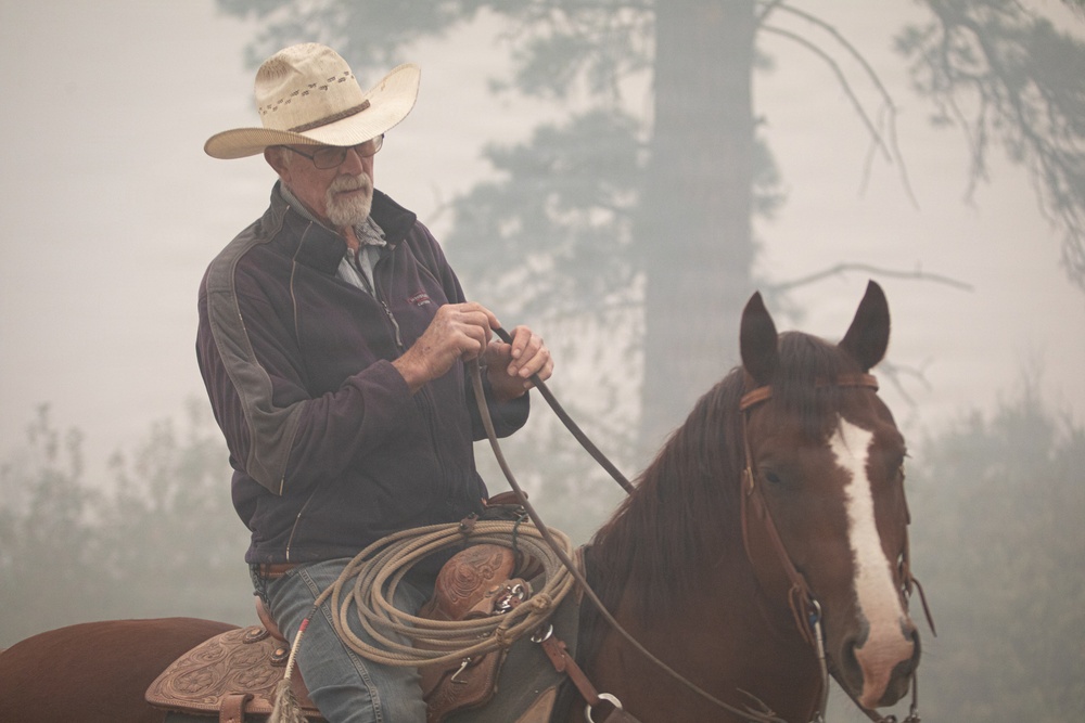 Rowe Creek Complex Cattle Drive