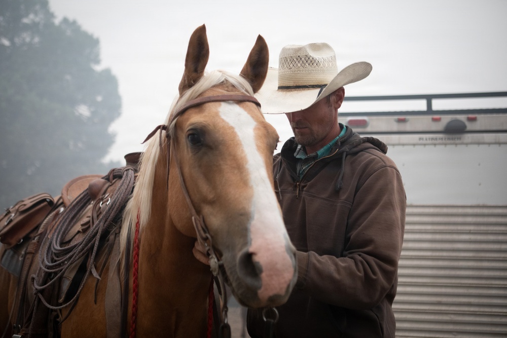 Rowe Creek Complex Cattle Drive