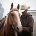 Rowe Creek Complex Cattle Drive