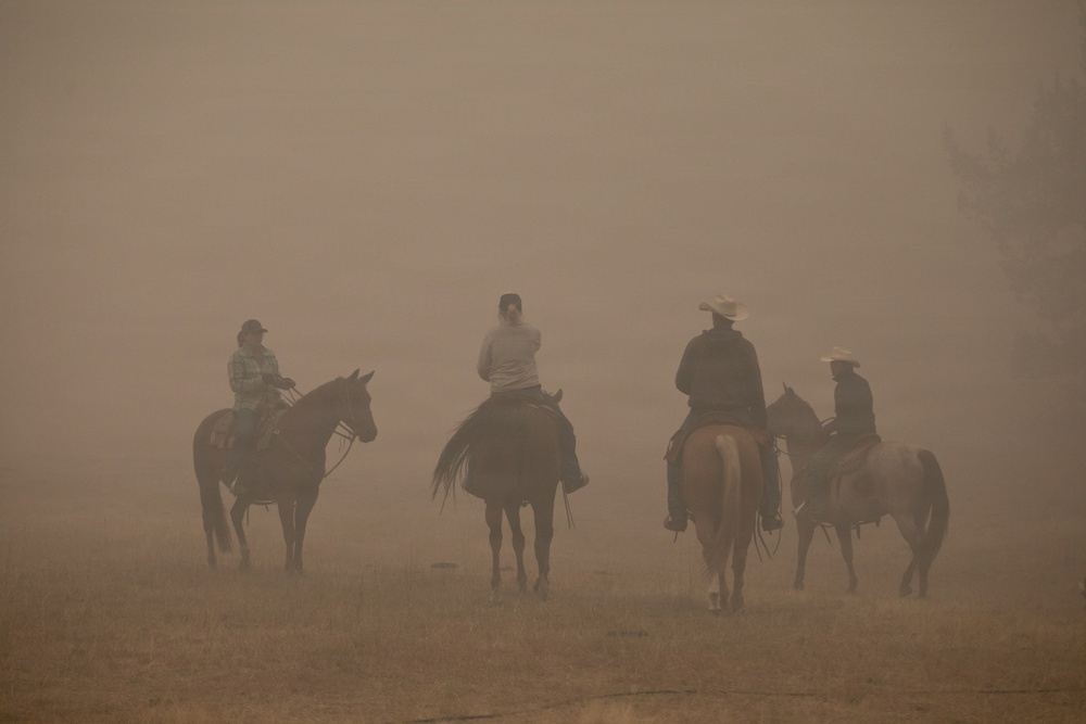 Rowe Creek Complex Cattle Drive