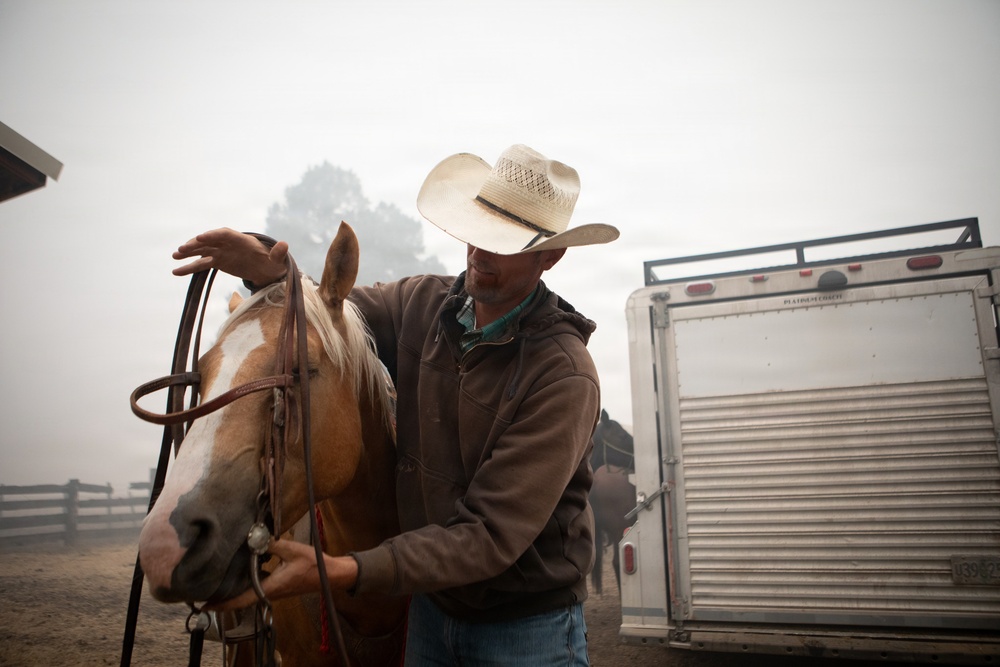 Rowe Creek Complex Cattle Drive