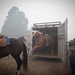Rowe Creek Complex Cattle Drive