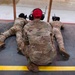 27 SOW participate in CATM training