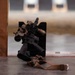 27 SOW participate in CATM training