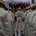 Recruit Training Command Pass in Review Recruit Training Command Pass in Review