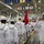 Recruit Training Command Graduation July 30, 2026 Recruit Training Command Graduation July 30, 2026